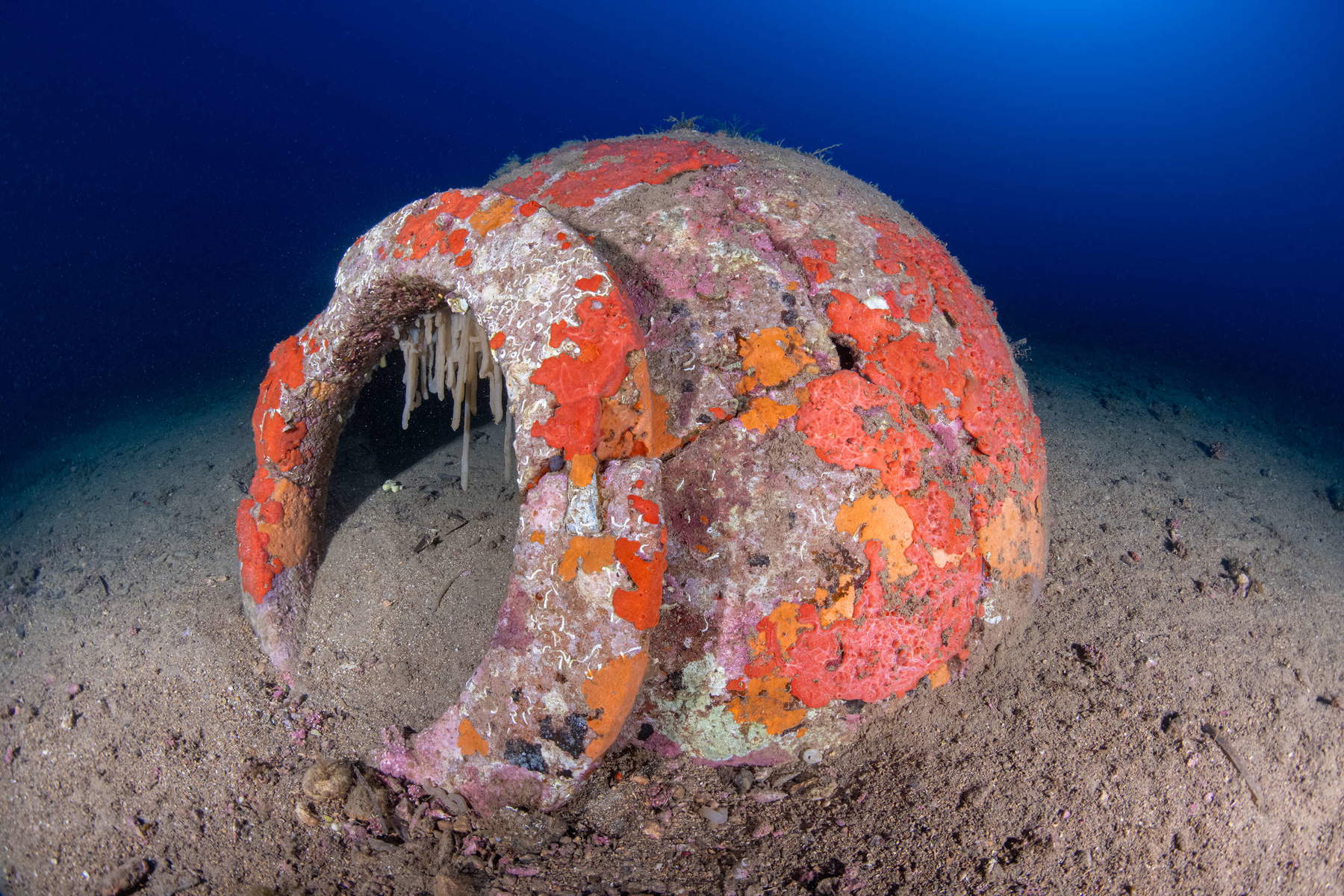 Les découvertes faites dans les fonds marins de l'île d'Elbe. Photo : Soprintendenza ABAP de Pise et Livourne