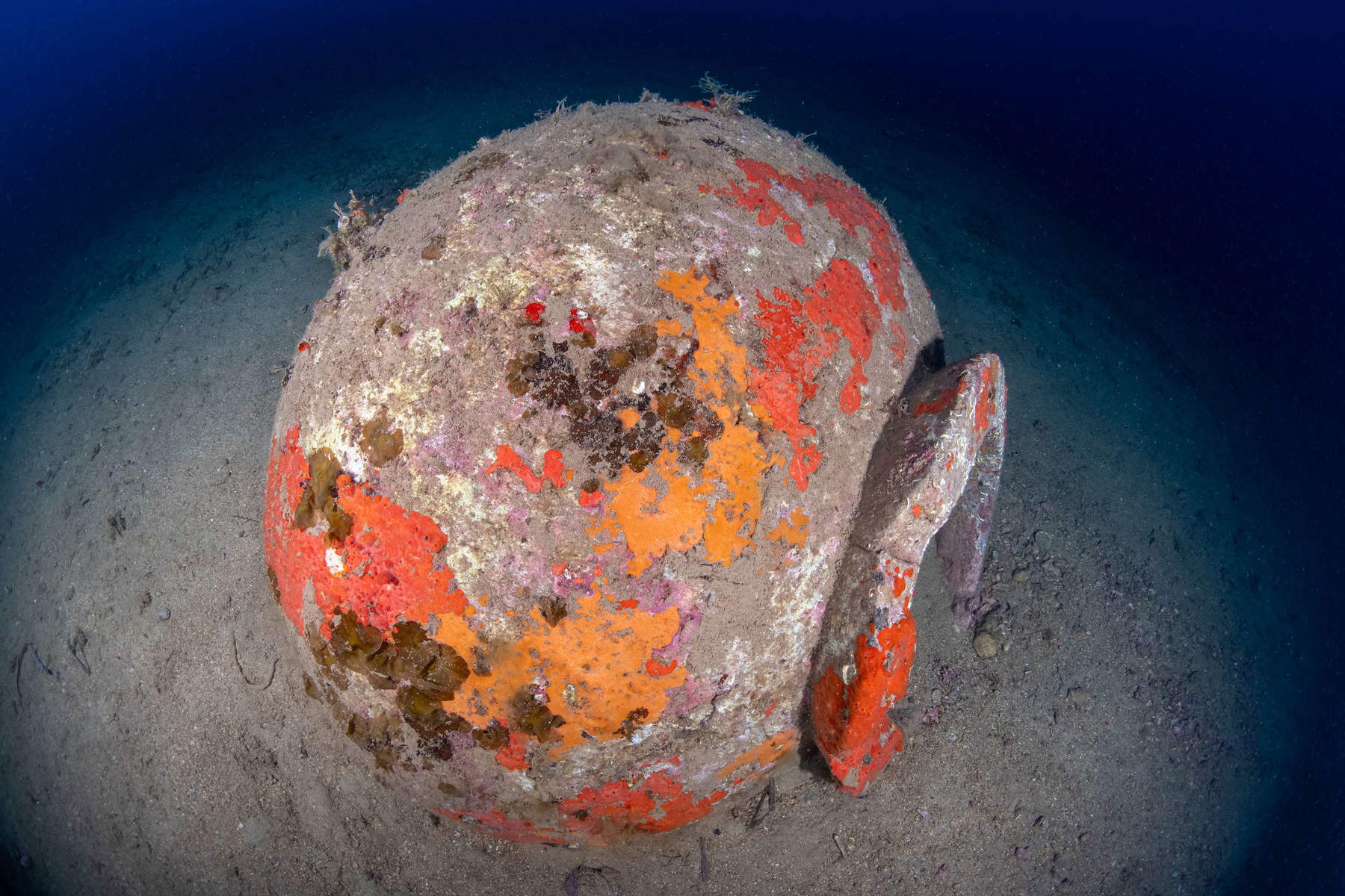 Les découvertes faites dans les fonds marins de l'île d'Elbe. Photo : Soprintendenza ABAP de Pise et Livourne