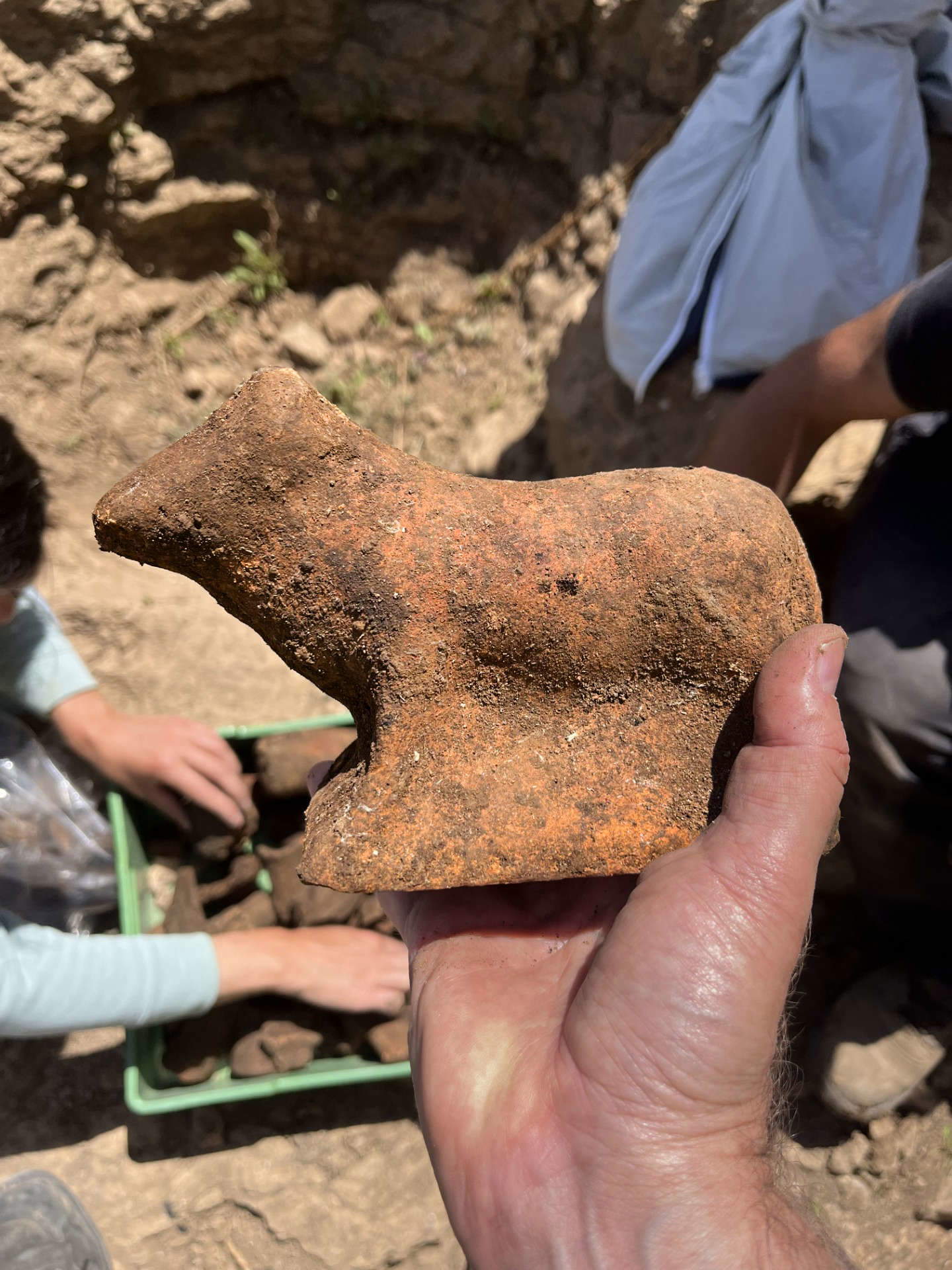 Statuette of ox found in the sacellum