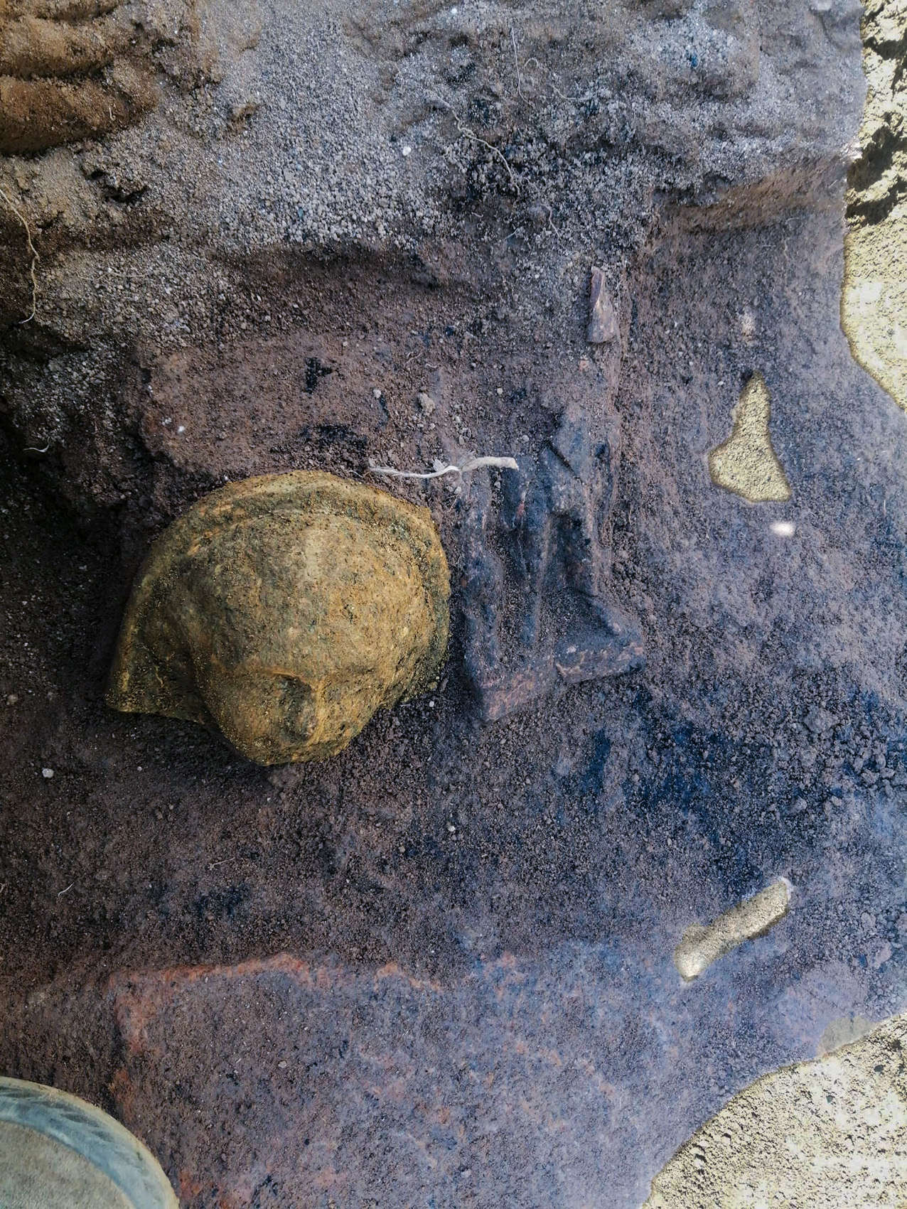 Votive stipe found in the sacellum