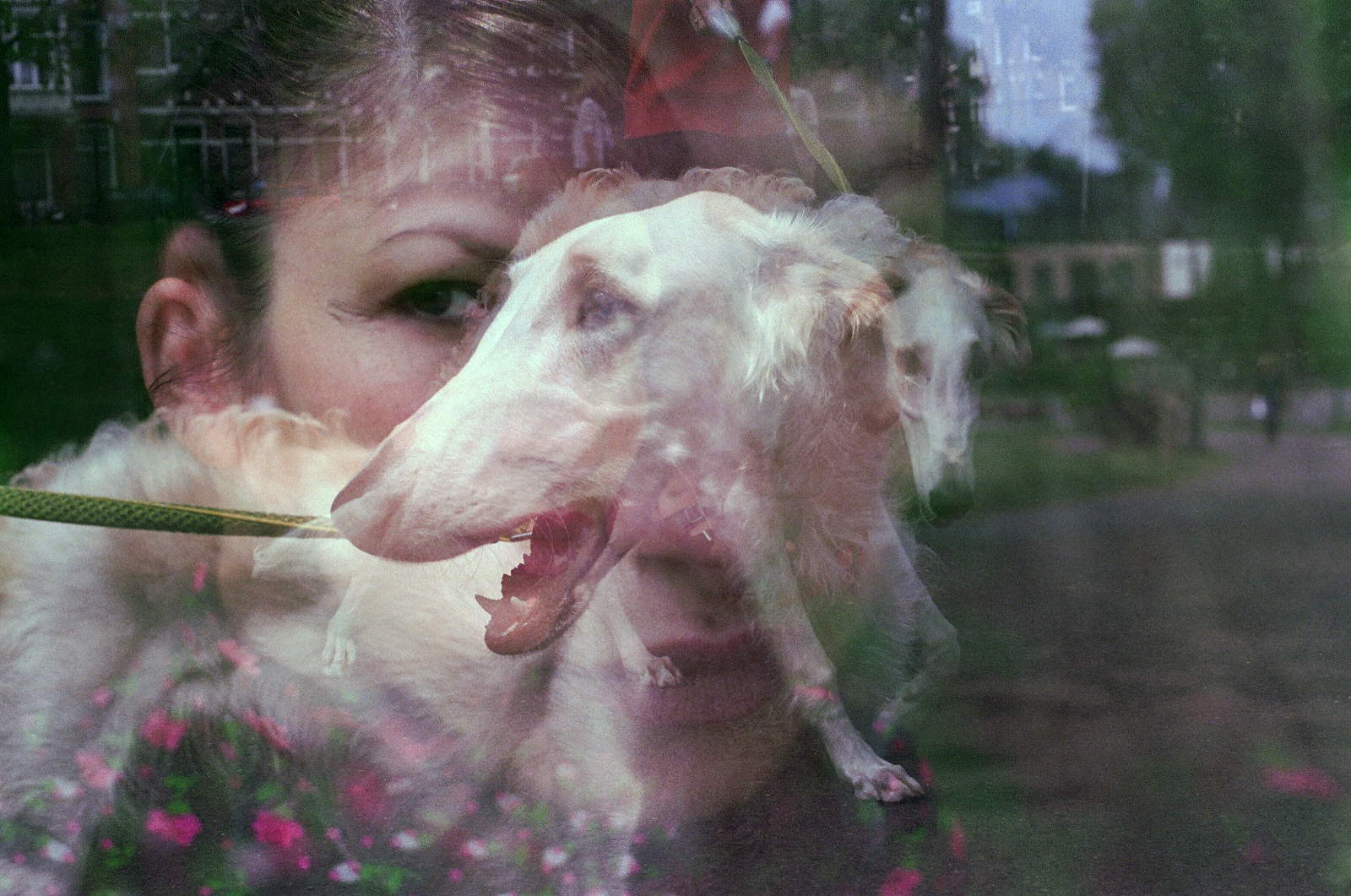 Selma Selman, *Letters to Omer* (2023; analog photographs). Courtesy of the artist