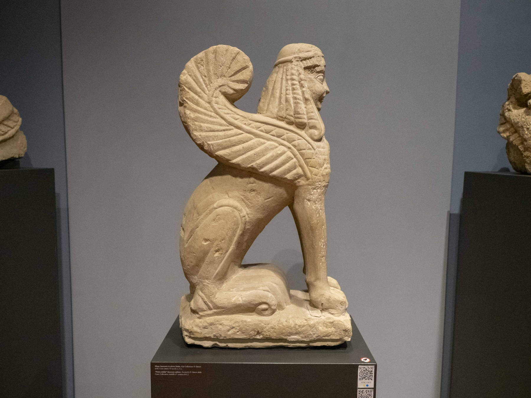 Le sphinx du Musée national étrusque de Chiusi figure sur les maillots de l'équipe de basket-ball San Giobbe Basket Etruria. Photo : Direction régionale des musées nationaux de Toscane du ministère de la Culture