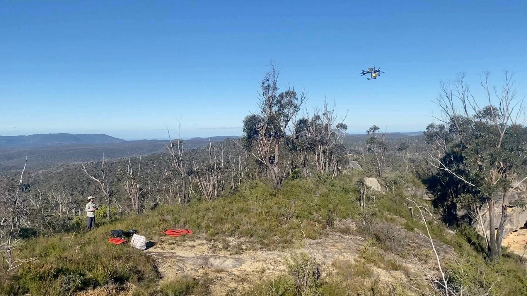 Jacob Bongers flies the DJI M350 drone equipped with a Yellowscan Explorer Version 2 LiDAR sensor in the Blue Mountains, near Sydney. Photo: University of Sydney