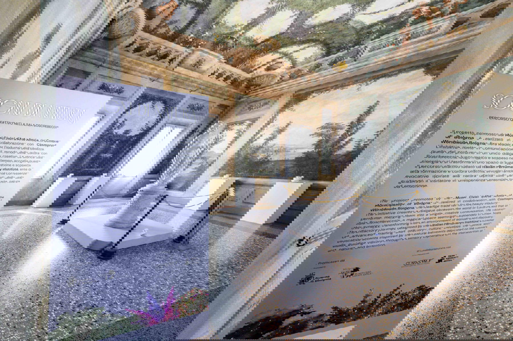 Sogni di natura, Veduta di allestimento dell&rsquo;installazione olfattiva, Collezioni Comunali d&rsquo;Arte (Sala Boschereccia), Bologna. Foto: Giorgio Bianchi &ndash; Comune di Bologna