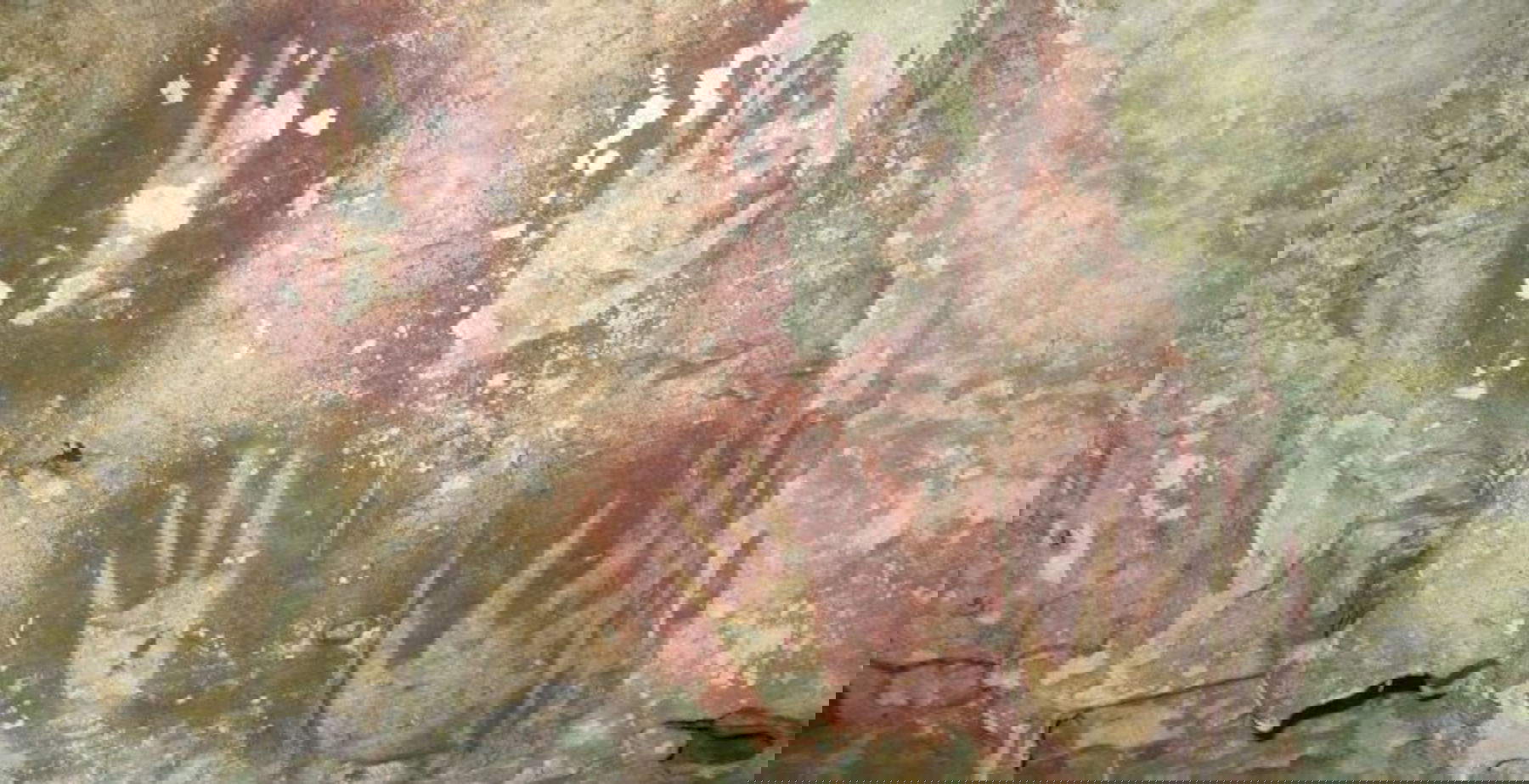 A 67,800-year-old handprint found in Indonesia rewrites the history of rock art