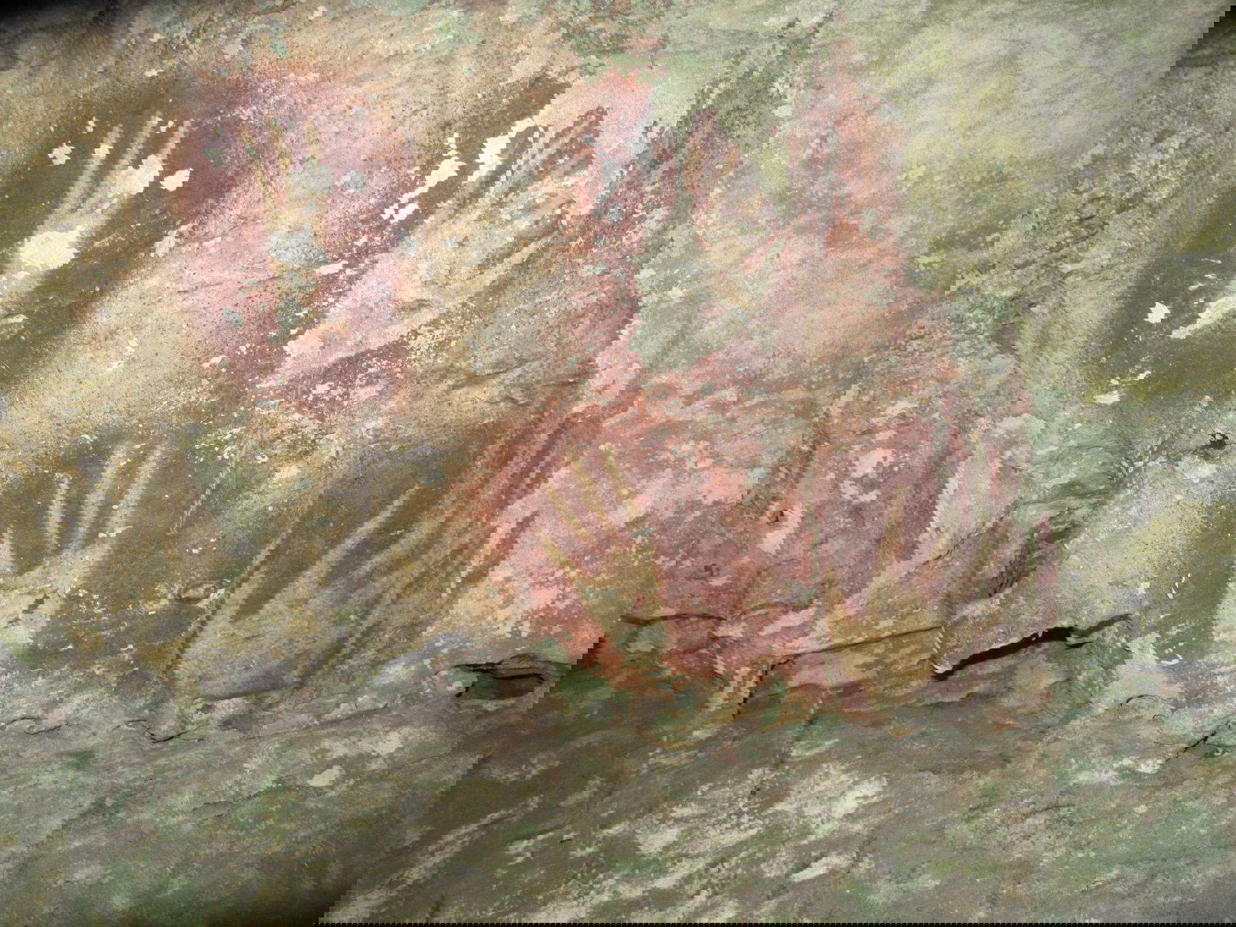 Stencil of hands with tapered fingers, Leang Jarie, Maros, Sulawesi. Photo: Ahdi Agus Oktaviana