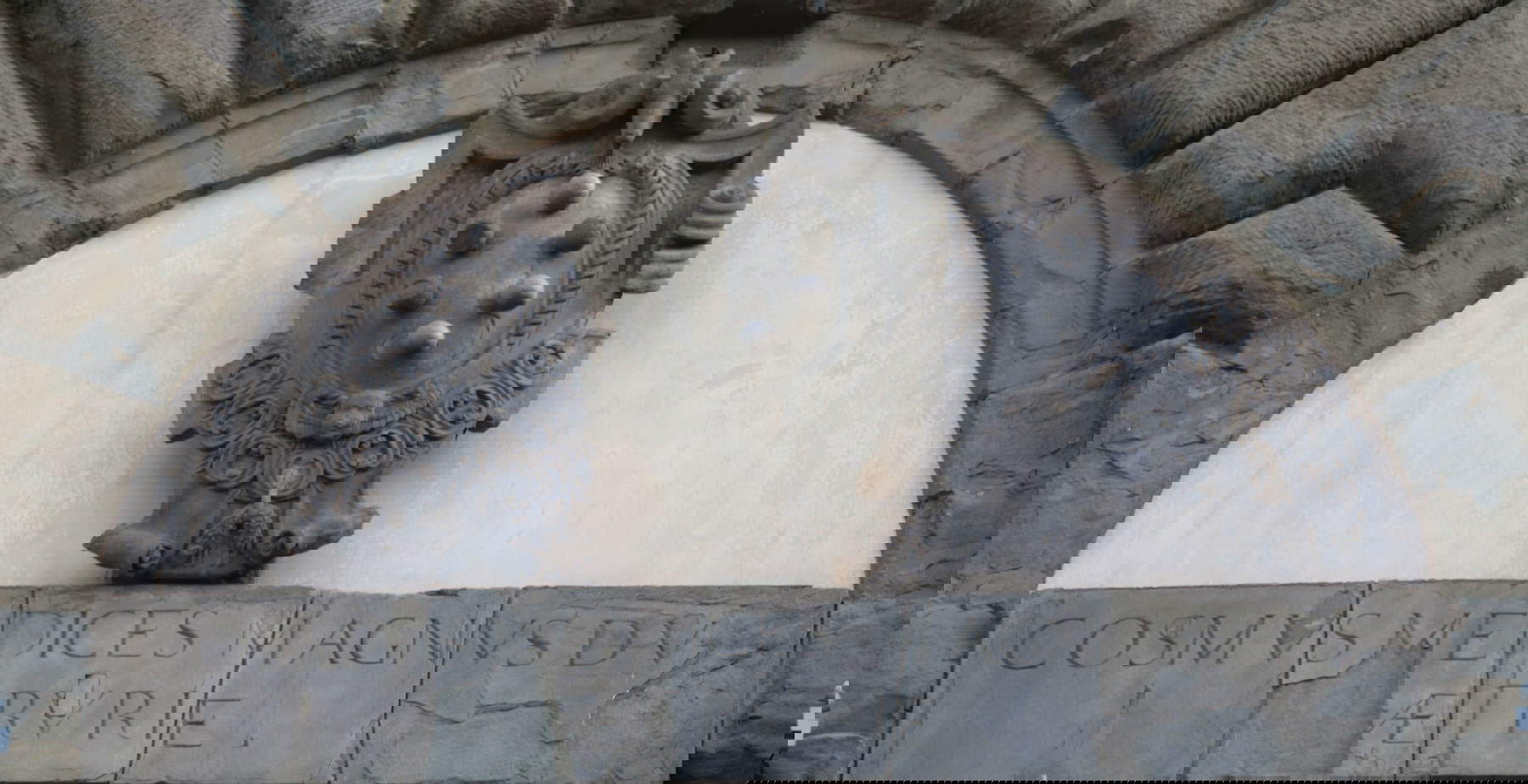 Wappen der Medici. Foto: Wikimedia Commons