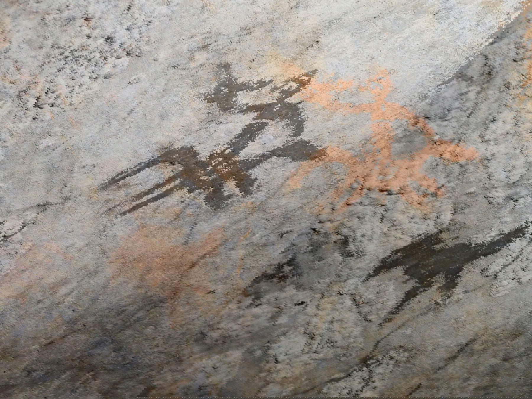 Stencil of 67,800-year-old hand. Photo: Maxime Aubert