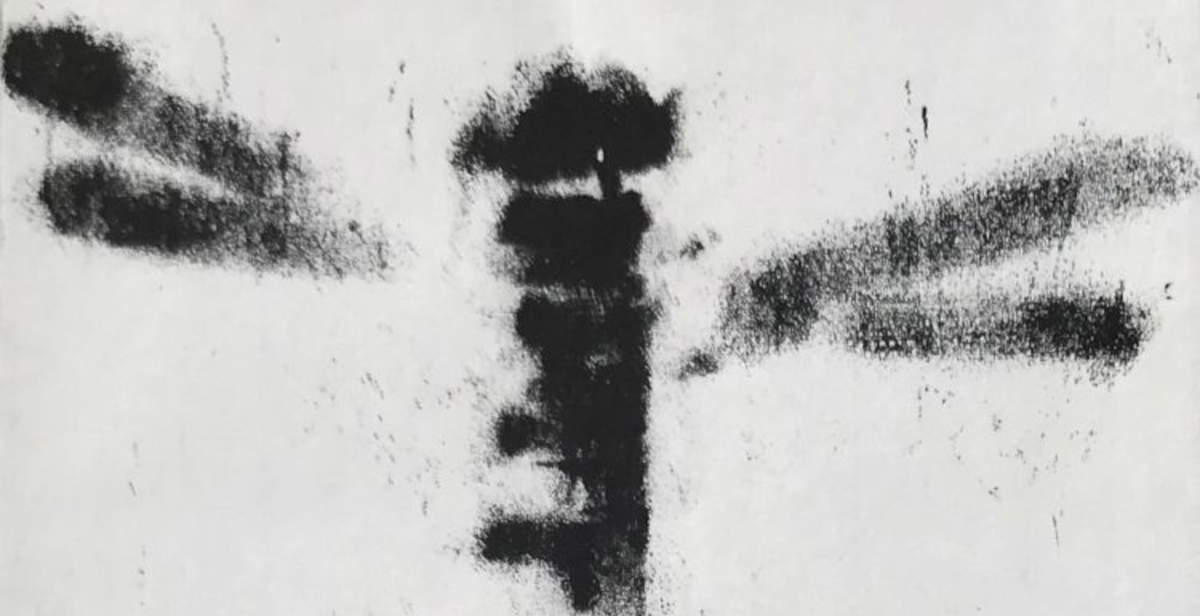 Eine Ausstellung von Stéphane Dubés Gemälden von Insekten und Schlangen in Venedig