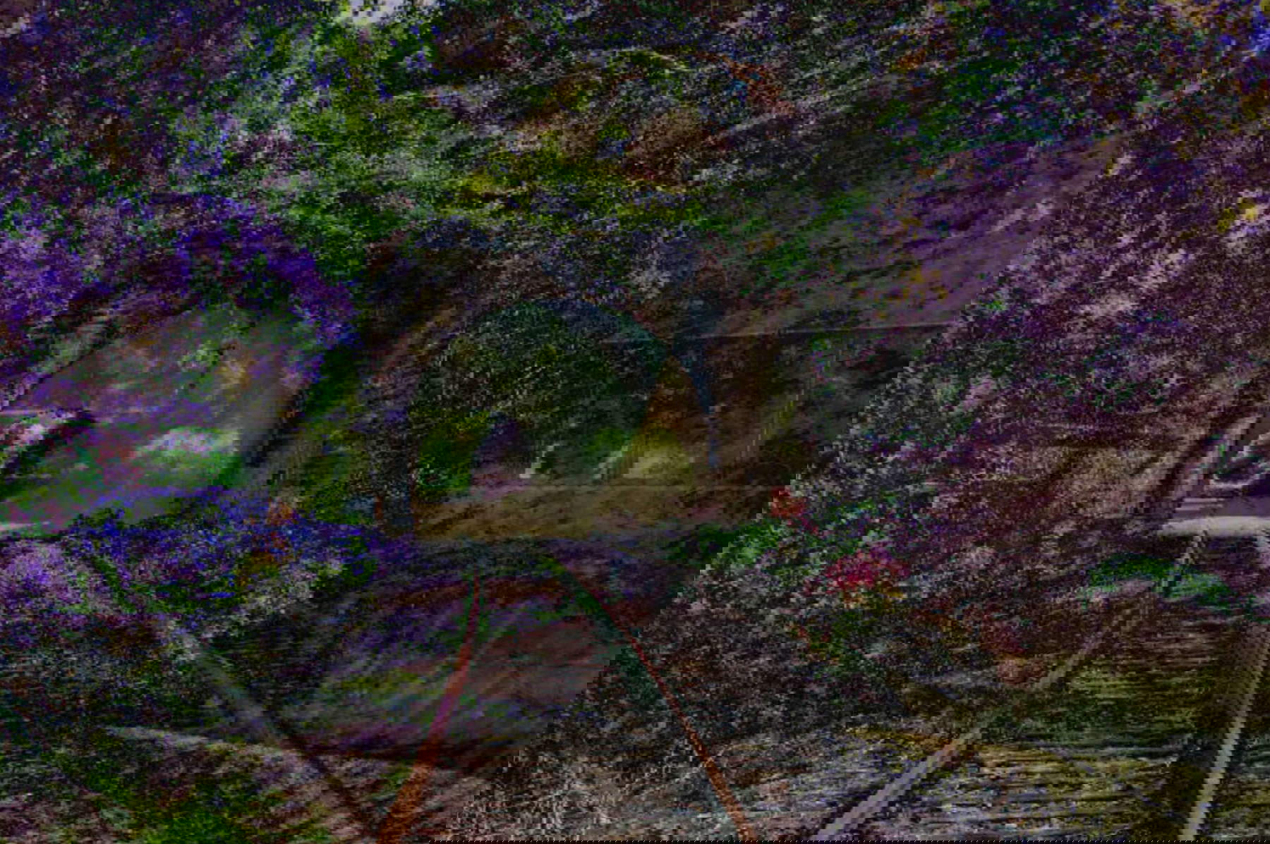 Stephen Thaler, Une entrée récente au paradis