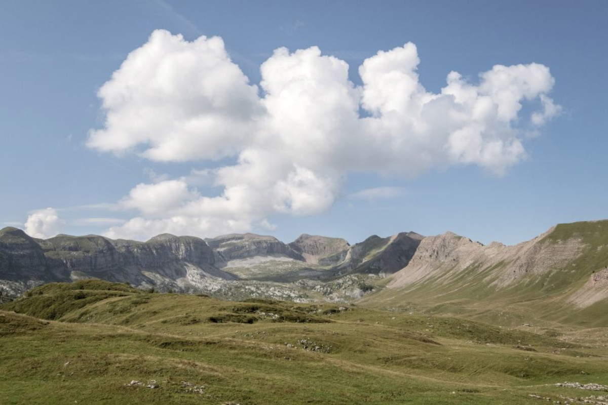 &copy;Trentino Marketing. ValdiNon, Pian della Nana, Malga Tassulla. Photo : Daniele Lira