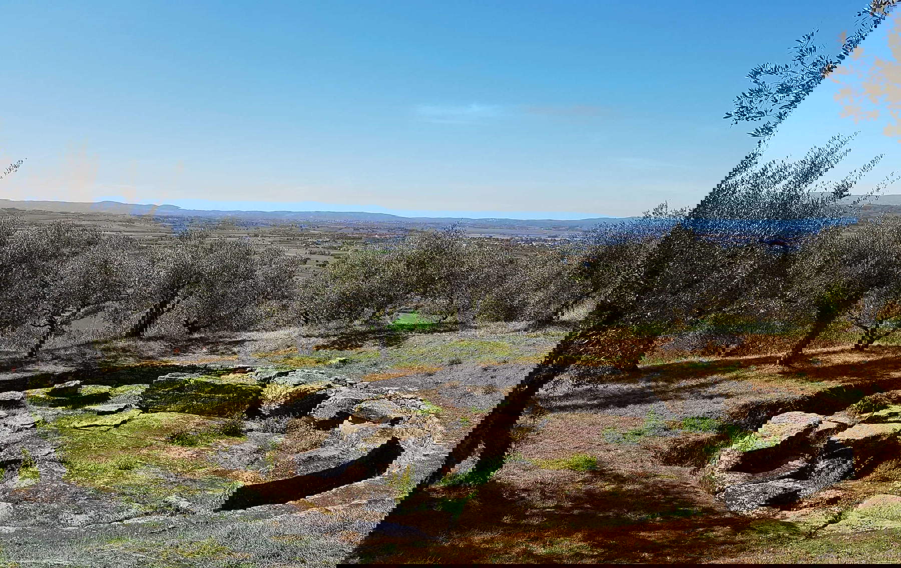 Tanella Angori. Foto: MAEC Cortona