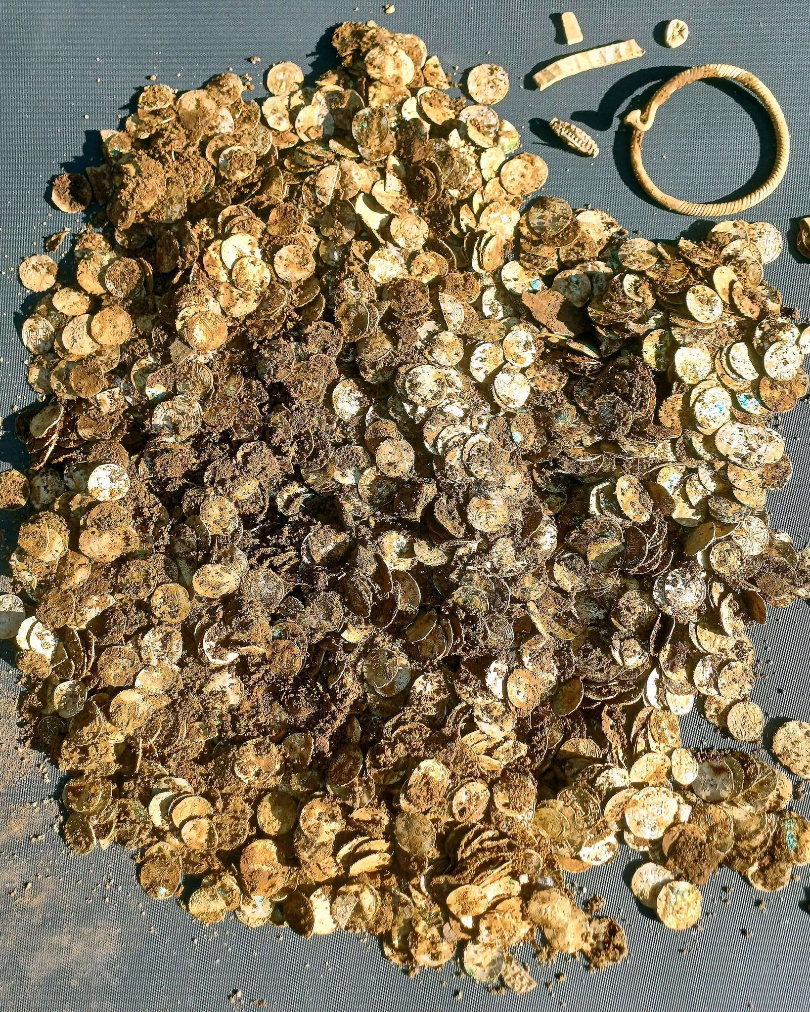 Coins discovered in Finland. Photo: Lahti Museums