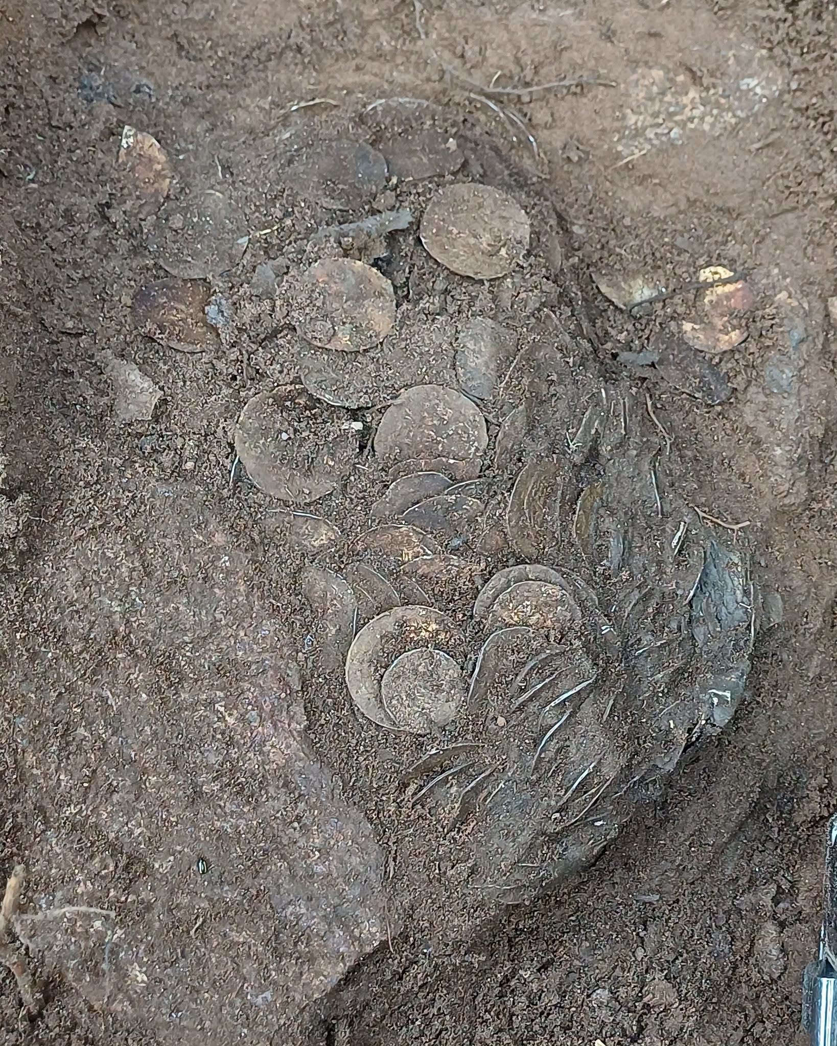 Coins discovered in Finland. Photo: Lahti Museums