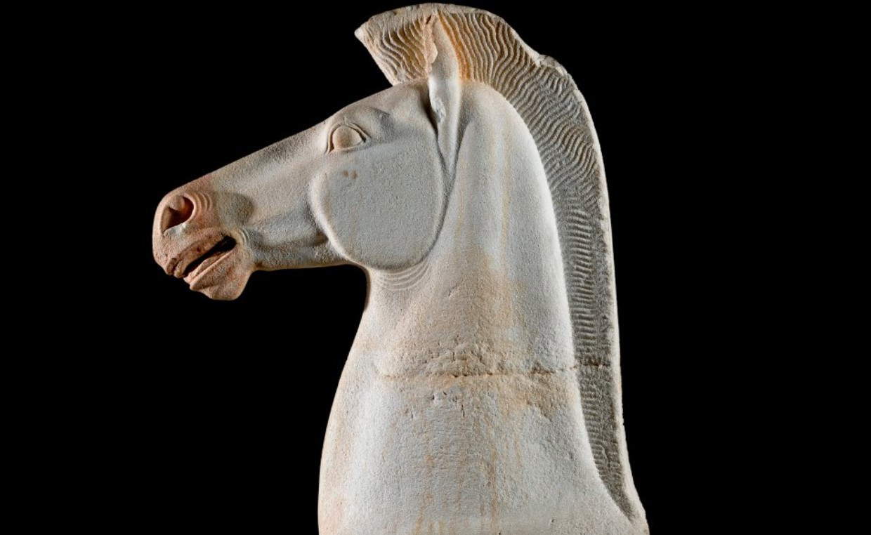 Detail of a horse's head (515 B.C.; Madrid, Museo del Prado)