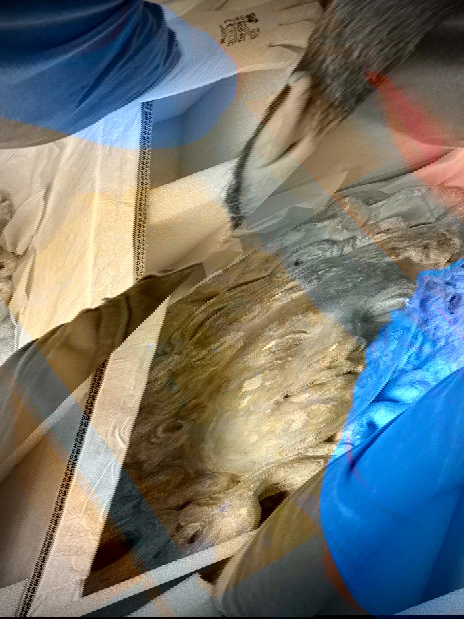 Foto: Pressestelle der Gemeinde Bagno a Ripoli