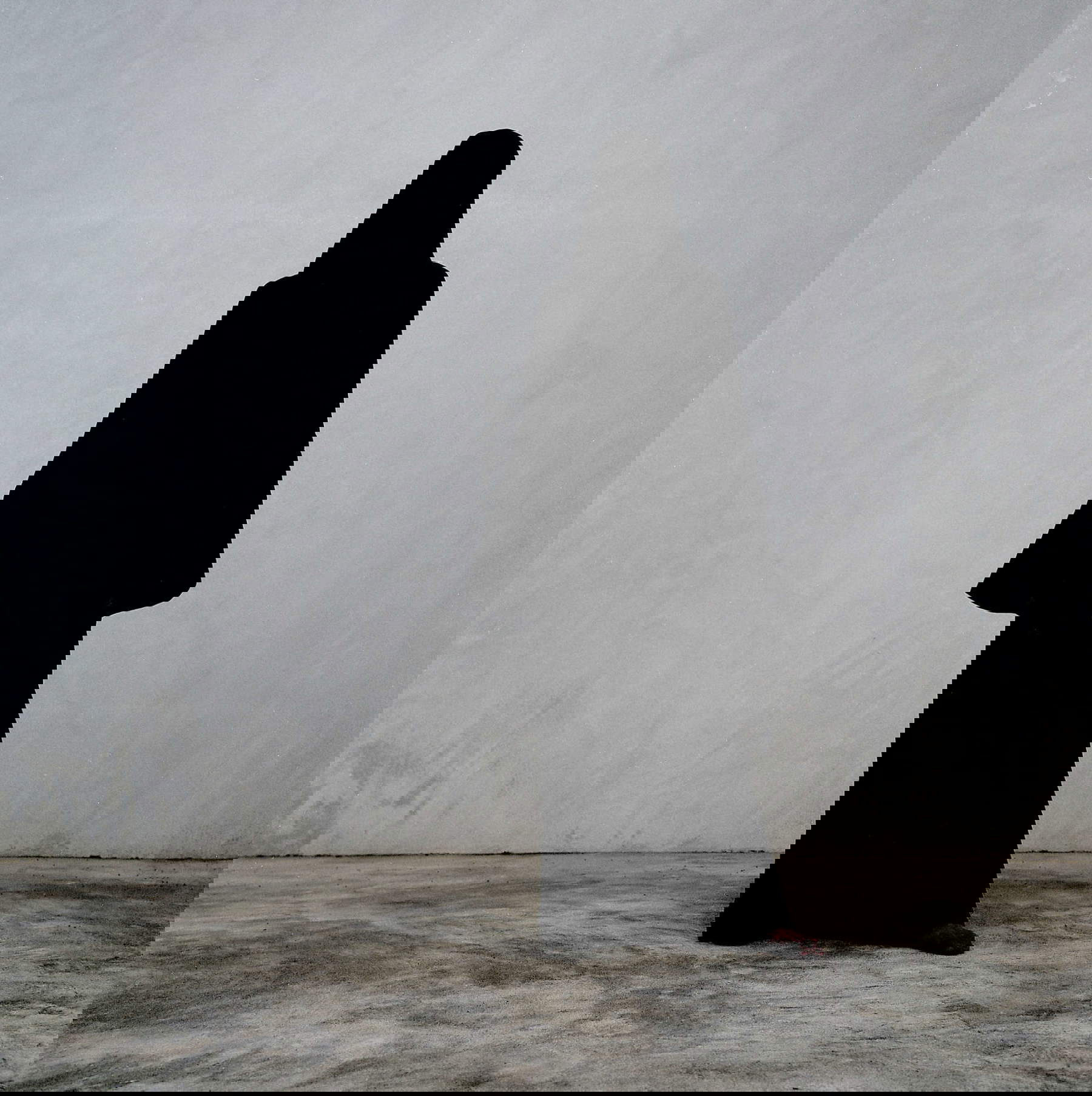 Theo Eshetu, Veiled woman (2012; fine art print from analog photography on Hahnem&uuml;hle paper, 90 x 90 cm, ed. 1/5). Photo: Barbara Thumm