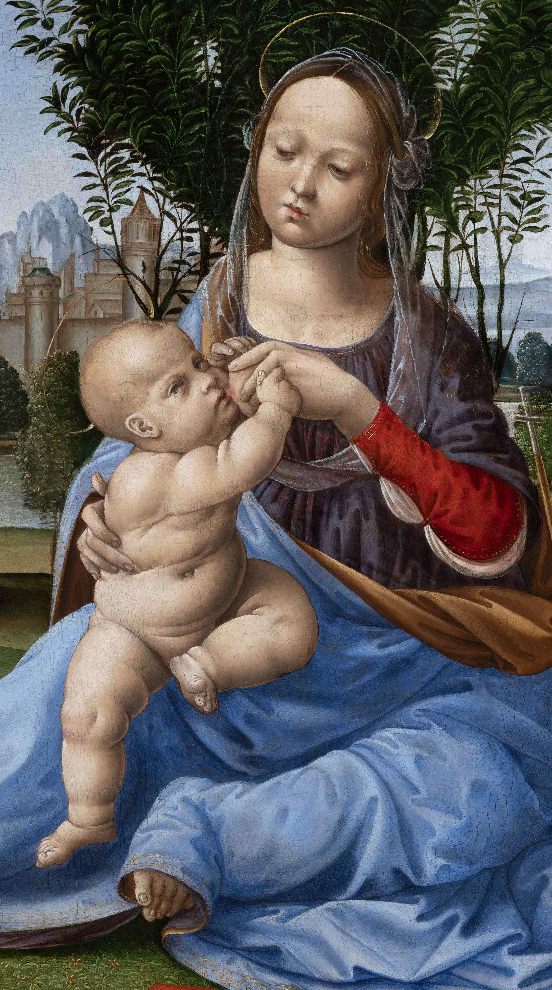 Dettaglio della Madonna col Bambino