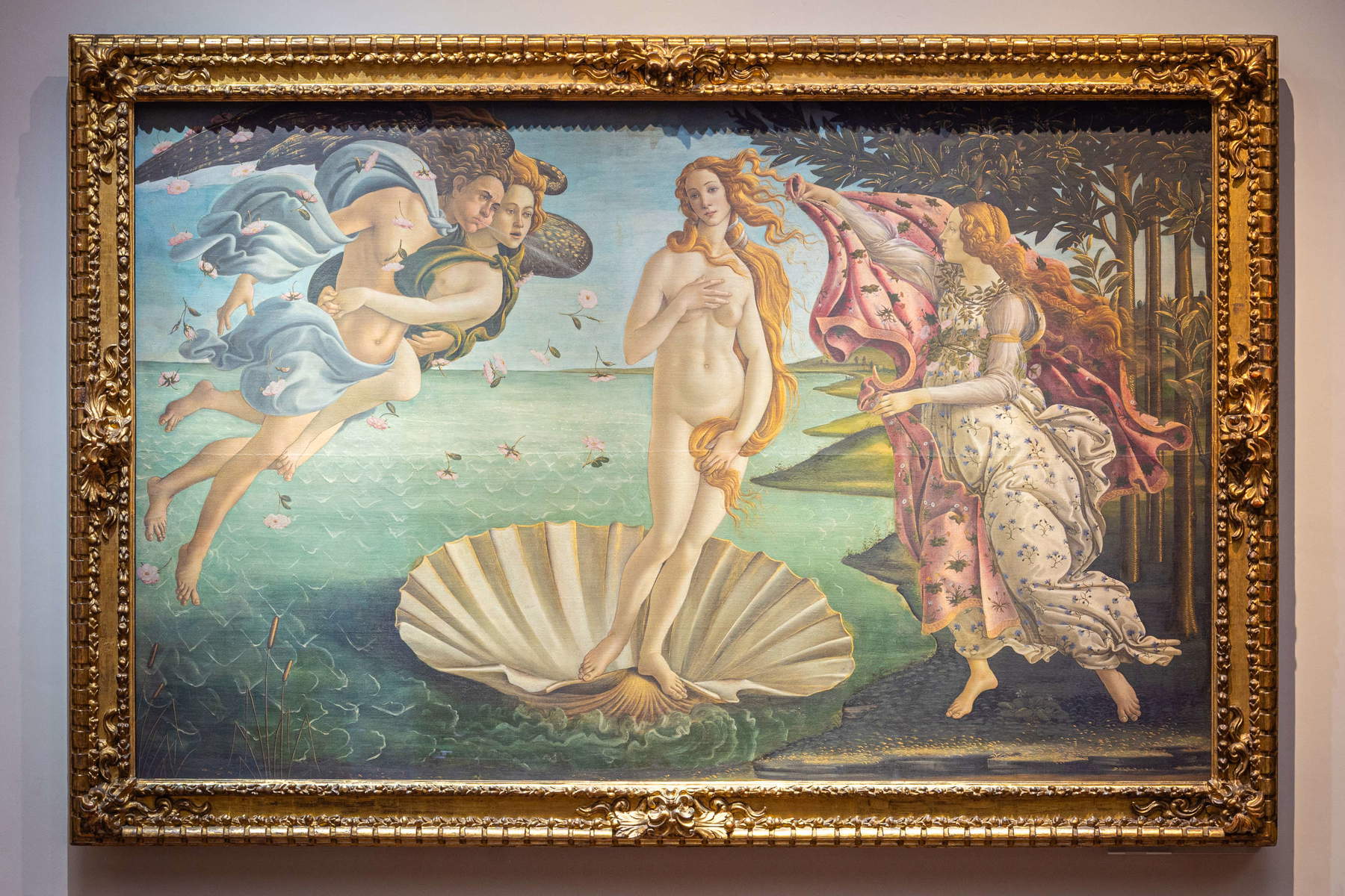 Uffizi, nuovi allestimenti delle Sale di Botticelli