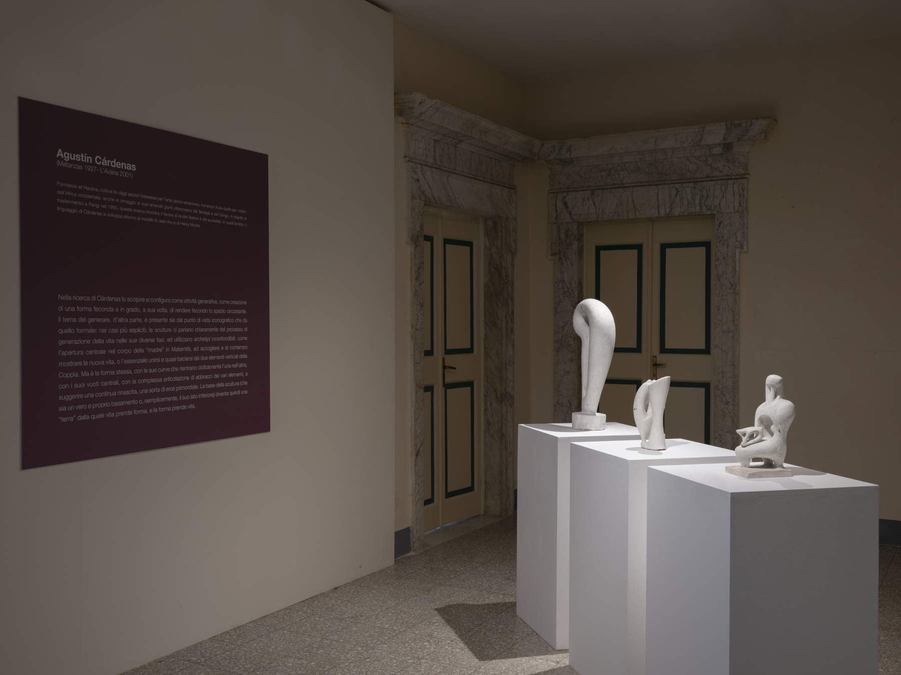 Vue de l'exposition consacrée aux œuvres d'Agust&iacute;n C&aacute;rdenas au musée Gigi Guadagnucci, à Massa. &copy; Nicola Gnesi.