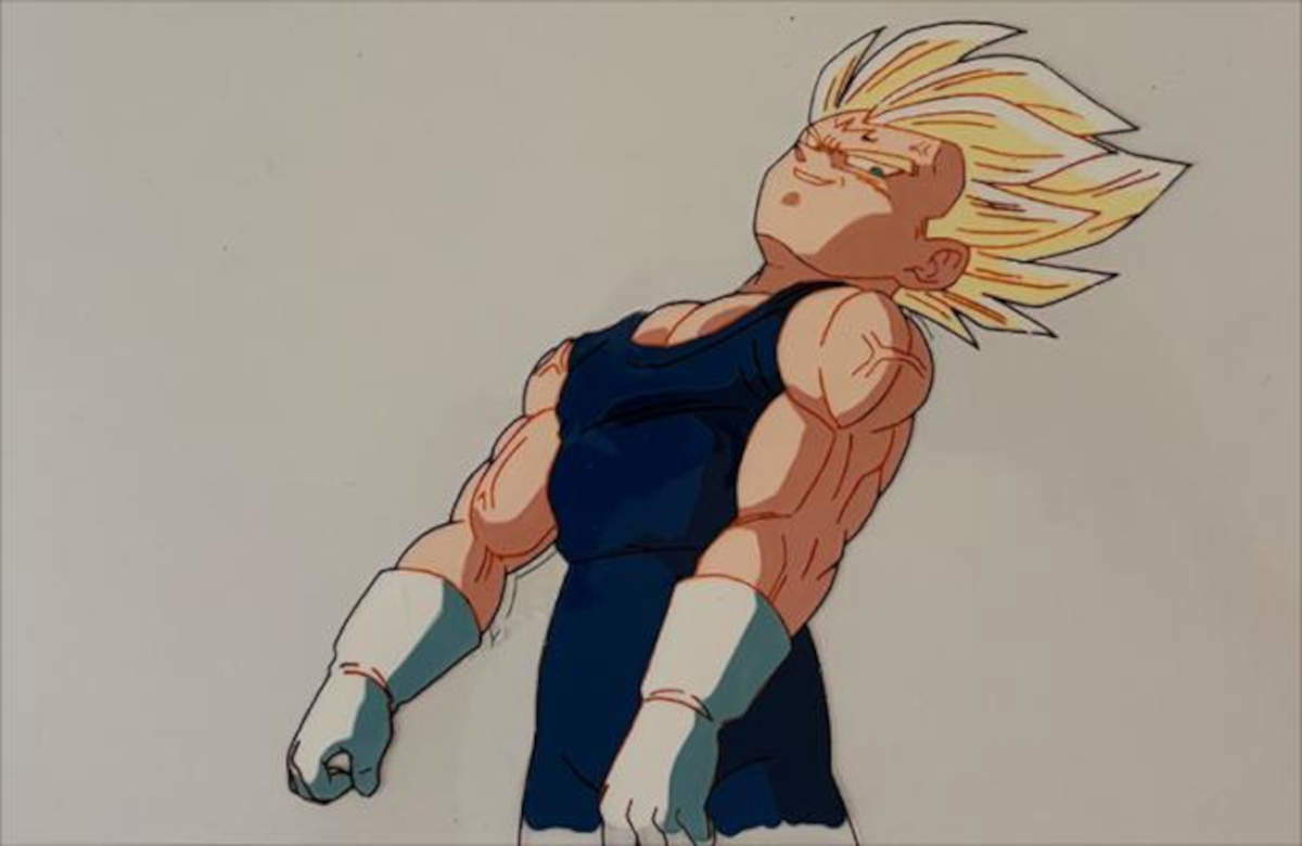 Vegeta. Foto: Piasa
