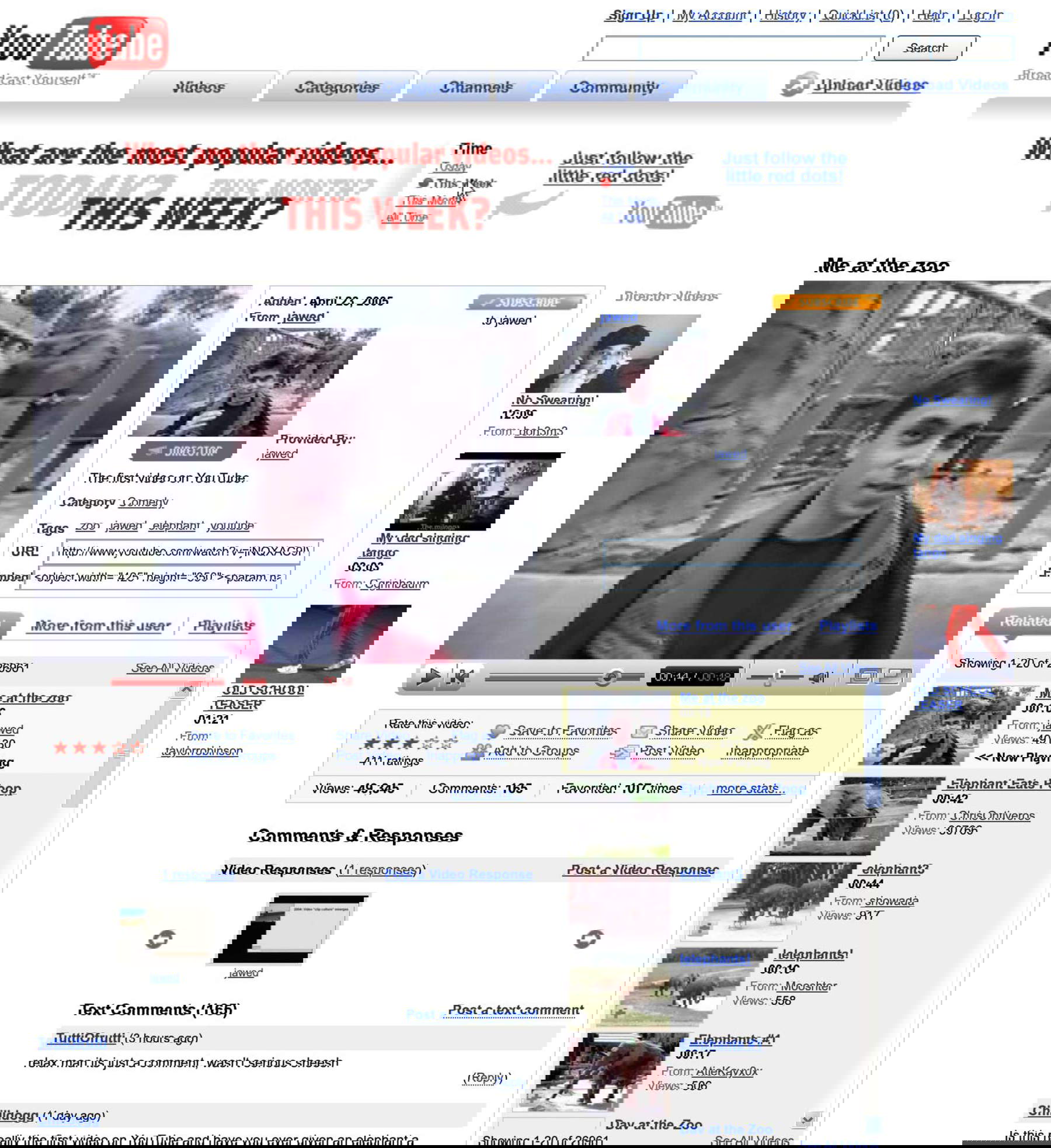 我在动物园使用古老的 YouTube 界面观看视频