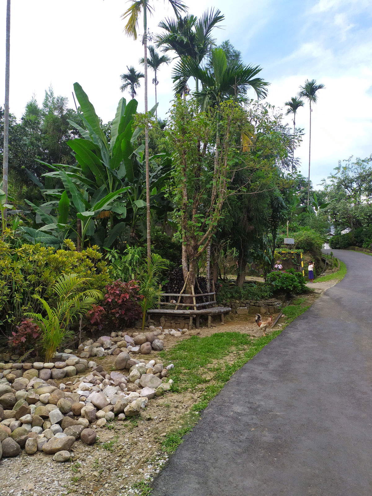 Le village de Mawlynnong. Photo : Wikimedia Commons/Explore heaven - Creative Commons Attribution-Share Alike 4.0 International licence