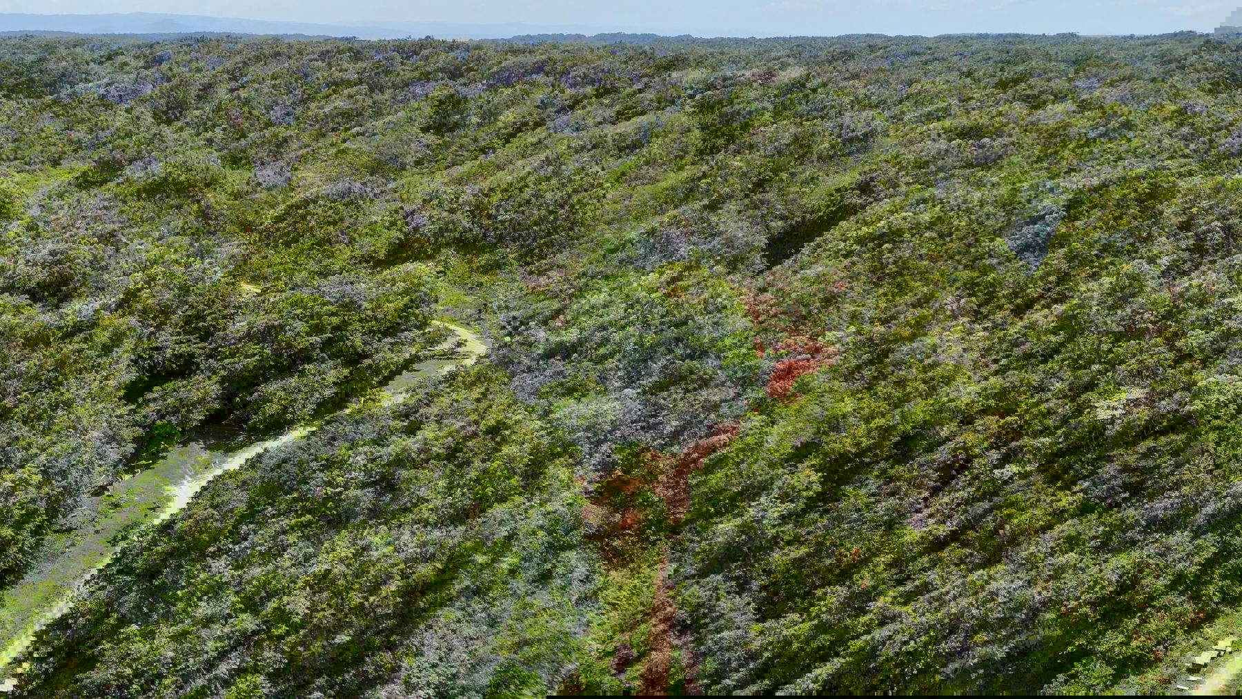View of the Metanduno sky. Photo: Ratno Sardi