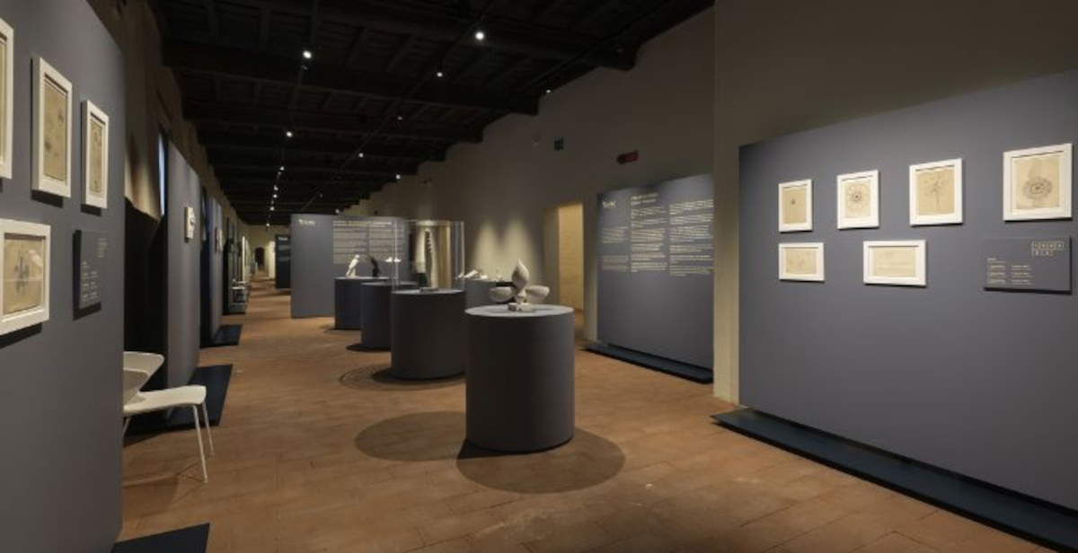 Regina Cassolo en el Museo Arqueológico de Vigevano: exposición permanente hasta 2029