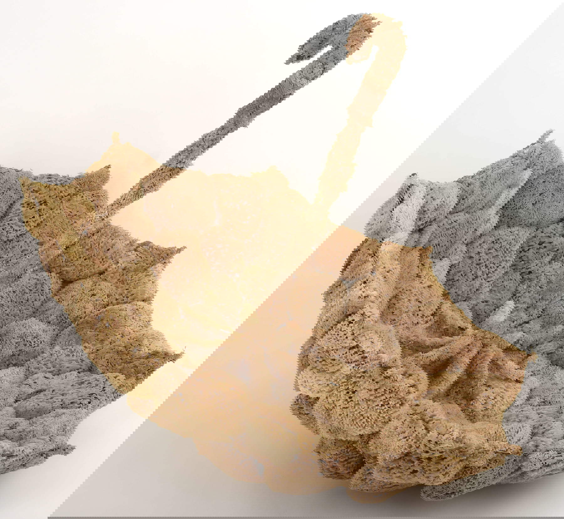 Wolfgang Paalen, Articulated Cloud (1937/2023; Assemblage aus Schirm und Naturschwämmen, 105 x 85 x 85 cm, Auflage 1/3; Berlin, Wolfgang Paalen Gesellschaft e. V.)