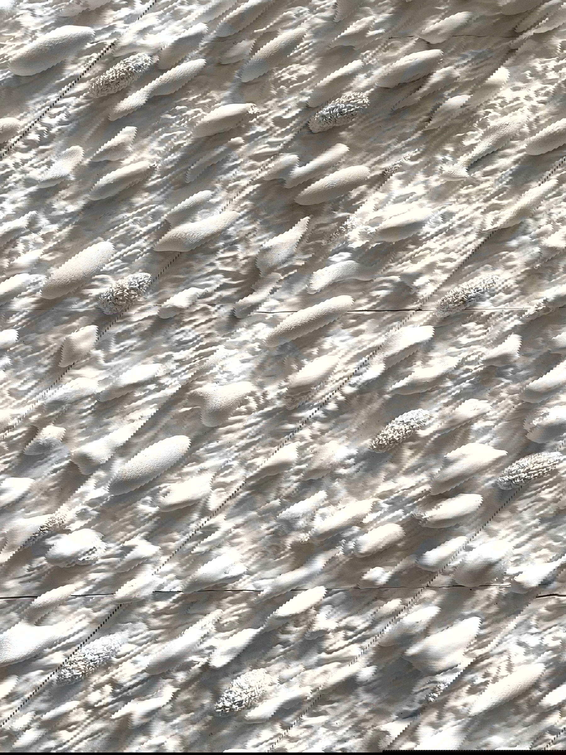 World of Plenty, small white sculptures