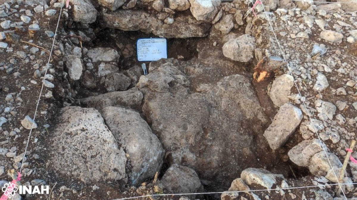 La d&eacute;couverte provient du projet de r&eacute;cup&eacute;ration arch&eacute;ologique de la rocade ferroviaire multimodale M&eacute;rida-Progreso, reli&eacute;e au Train Maya. Photo : Luis Libreros.