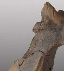 Terracotta winglets with zoomorphic depictions discovered in Padua 