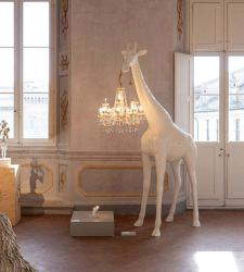 A gorilla at a lectern, a giraffe with a chandelier: Marcantonio on display in Ravenna