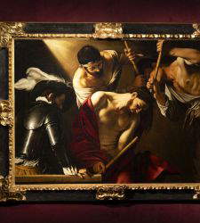 A bonsai museum or an exhibition in a box? The wonders of the Habsburgs in Rome, double review