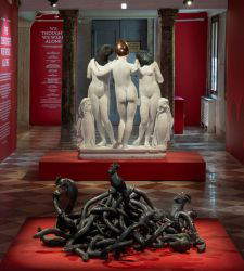 Im hybriden und ketzerischen &Ouml;kosystem von Koen Vanmechelen. Wie die Ausstellung in Venedig aussieht