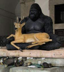 Fuorisalone, Bertozzi &amp; Casoni in Milan: "Regeneration" and exclusive installation photos