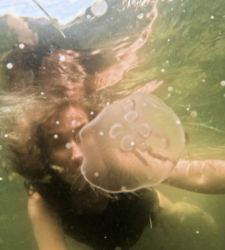 Polen auf der Biennale von Venedig 2026 mit einer Installation &uuml;ber das Zuh&ouml;ren von marginalisierten Sprachen