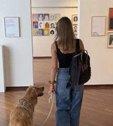 Friuli Venezia Giulia, i musei pet-friendly dove cultura e animali viaggiano insieme