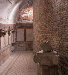 Colosseum Park, Haus der Greifen &ouml;ffnet f&uuml;r die &Ouml;ffentlichkeit, auch live in Echtzeit 