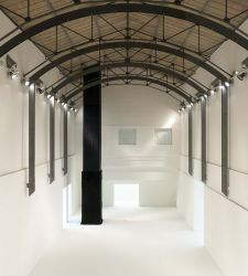 Cuoghi Corsello at MAMbo: The Museum Becomes an Animal to Pet. What’s the Exhibition Like?