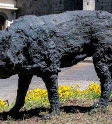 In Piancastagnaio (Siena), Davide Rivalta&rsquo;s wolves call the Rocca Aldobrandesca home