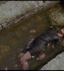 Biennale, Litauischer Pavillon &uuml;bersetzt arch&auml;ologische Forschung in sinnliche Erfahrung