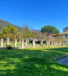 Pietrasanta seeks new director for Visual Arts Center Foundation