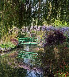 France: Extreme Heat Takes a Toll on Monet's Garden in Giverny&mdash;Damage Reported