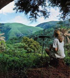 At the Diocesan Museum in Cremona, a photographic tribute to Jane Goodall and the women she inspired