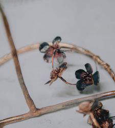 Pandolfini presenta el "Jard&iacute;n alqu&iacute;mico" de Julie Hamisky en la Semana del Dise&ntilde;o 2026