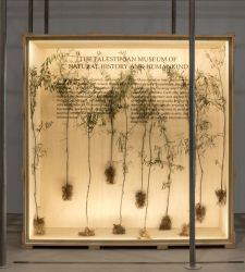 In Turin erz&auml;hlen Arch&auml;ologie und zeitgen&ouml;ssische Kunst von der historischen und kulturellen Tiefe des Gazastreifens