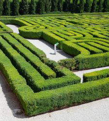 Venice: The Giorgio Cini Foundation&rsquo;s Borges Labyrinth Has Been Restored; It Reopens More Accessible and Refreshed