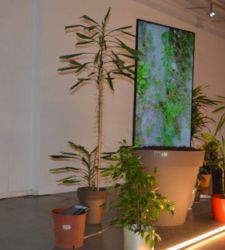 El Museo Cavalese inaugura Performa: tres semanas de arte esc&eacute;nico e investigaci&oacute;n